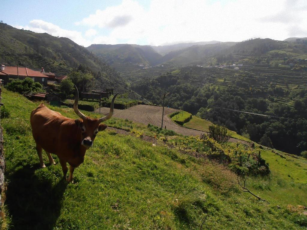 Casa Da Avo Casa vacanze